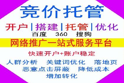 SEM精准广告投放的五大成功案例